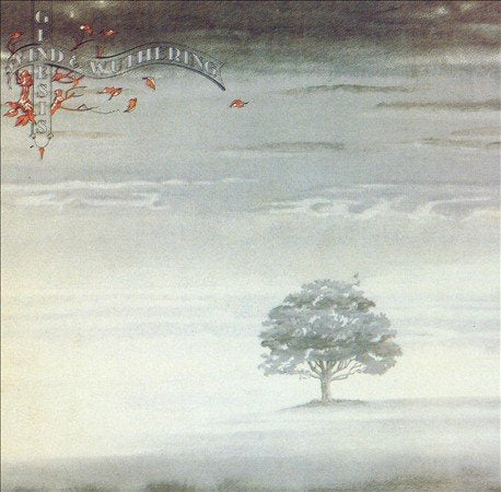 WIND & WUTHERING (VINYL) | Near Mint (NM or M-) Mint (M) - ROCK / USED *NEAR MINT*