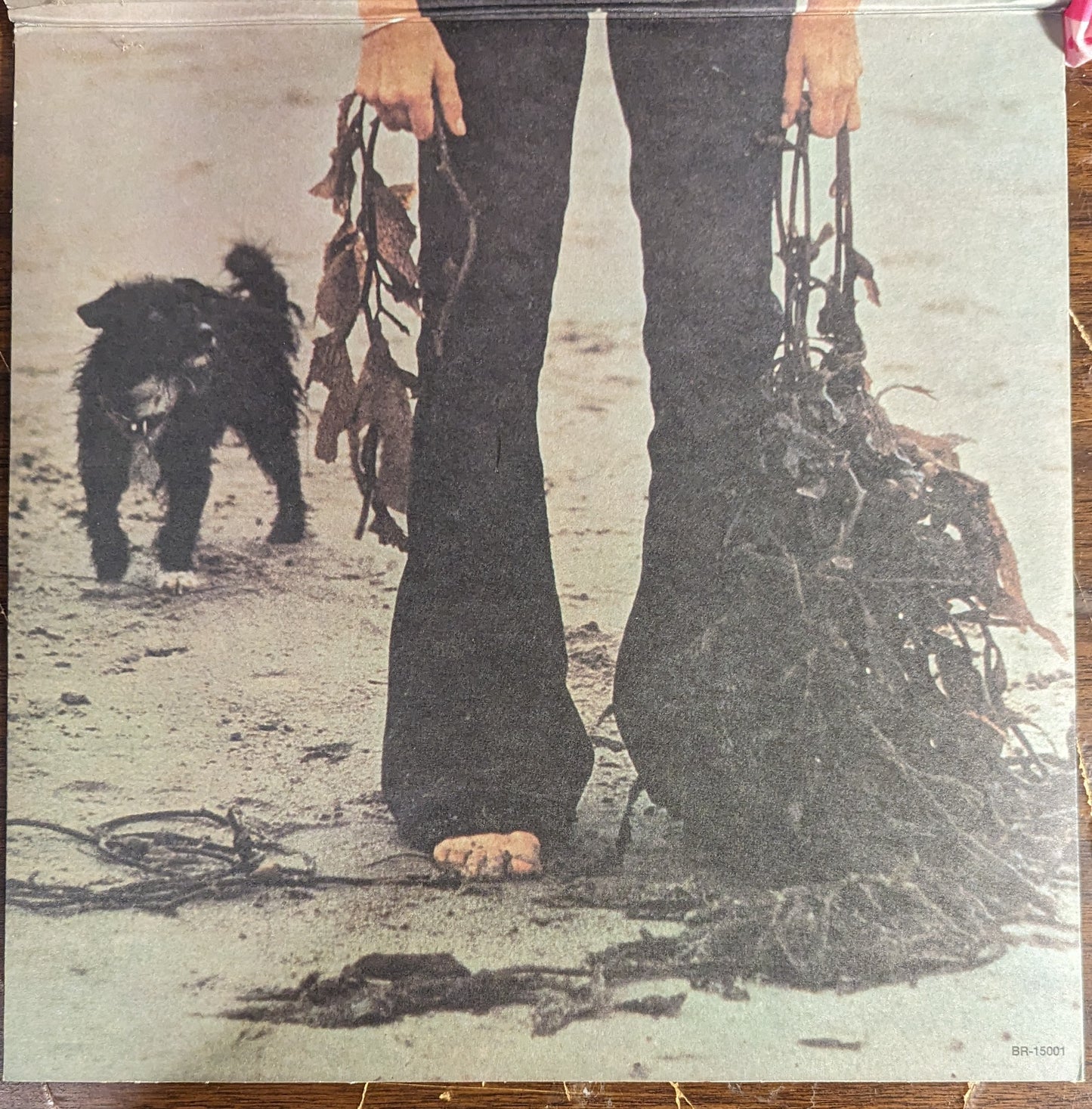 Claudine Longet - Let's Spend The Night Together | Near Mint (NM) Excellent (EX) - ROCK / USED *NEAR MINT*