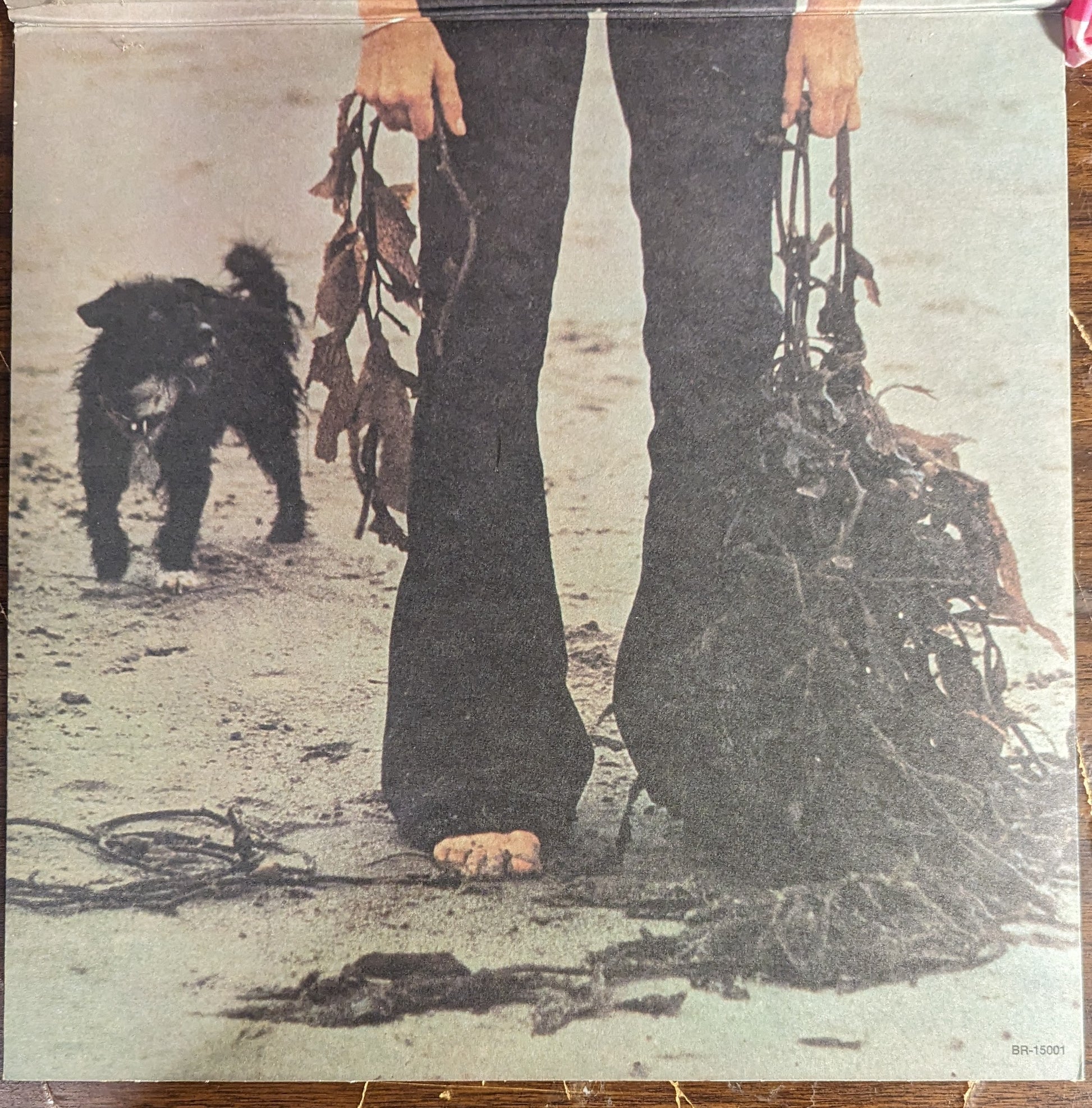 Claudine Longet - Let's Spend The Night Together | Near Mint (NM) Excellent (EX) - ROCK / USED *NEAR MINT*