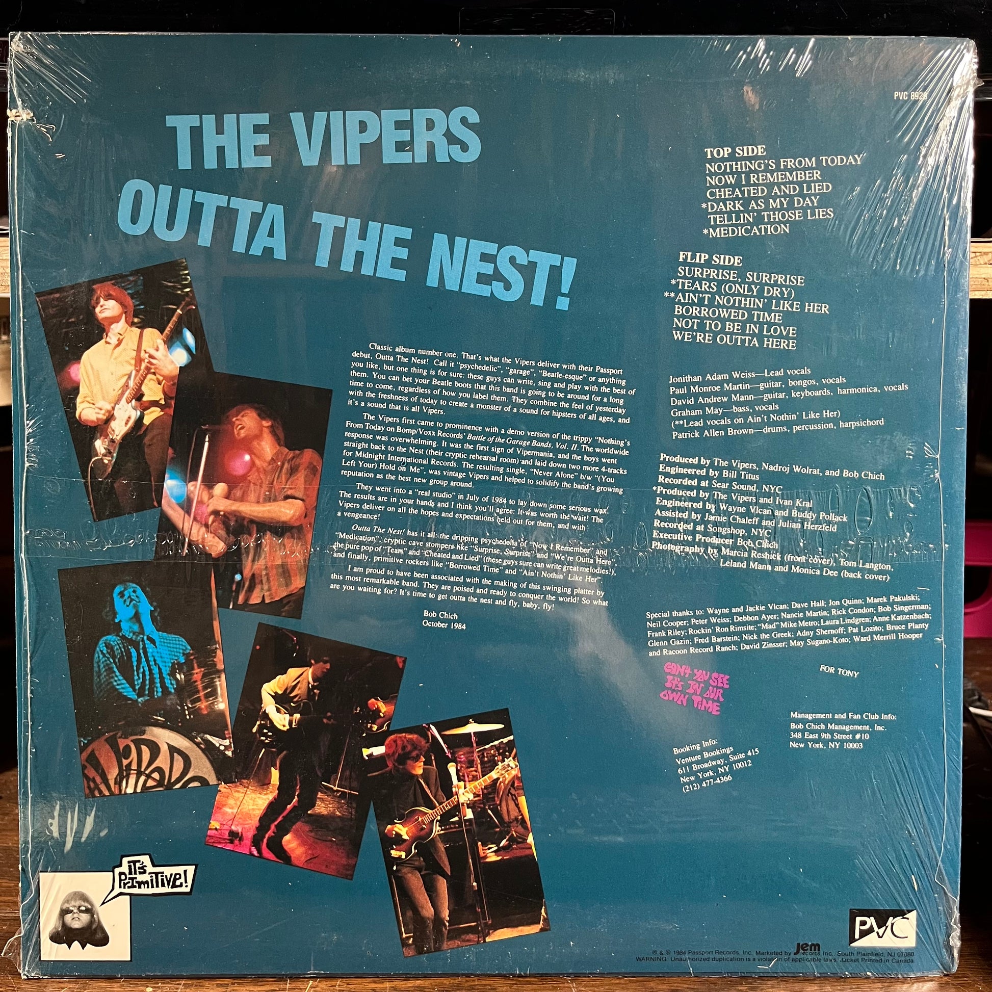 Outta The Nest (VINYL) | Near Mint (NM) Near Mint (NM) - ROCK / USED *NEAR MINT*