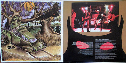 Southern Rock Opera (2xVINYL) | Near Mint (NM) Near Mint (NM) - ROCK / USED *NEAR MINT*