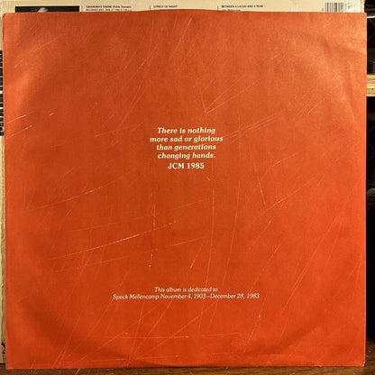 Scarecrow (VINYL) | Near Mint (NM) Near Mint (NM) - ROCK / USED *NEAR MINT*