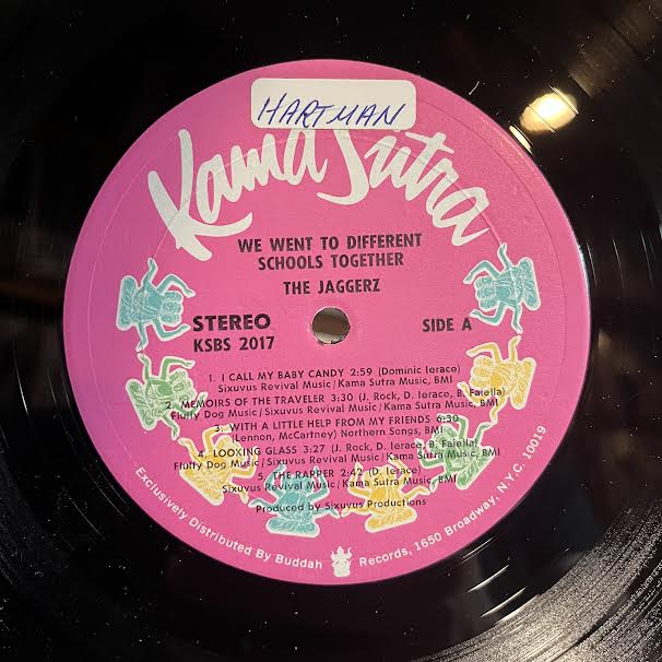 We Went To Different Schools Together (VINYL) | Near Mint (NM or M-) Excellent (EX) - ROCK / USED *NEAR MINT*