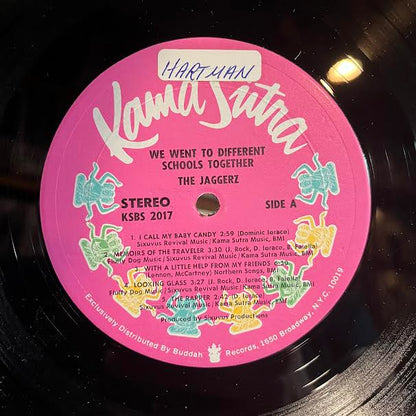 We Went To Different Schools Together (VINYL) | Near Mint (NM or M-) Excellent (EX) - ROCK / USED *NEAR MINT*