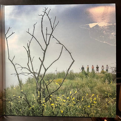 Ice, Death, Planets, Lungs, Mushrooms And Lava (2xVINYL) | Near Mint (NM) Very Good Plus Plus (VG++) - ROCK / USED *NEAR MINT*