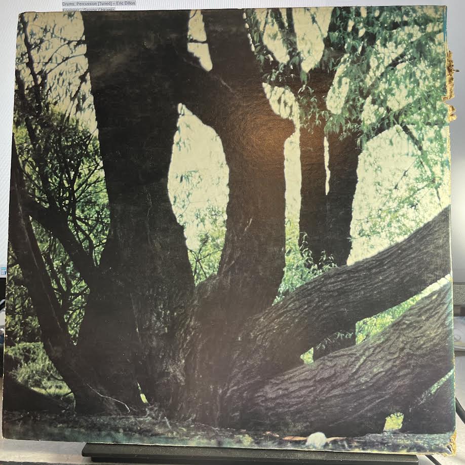 Fat Mattress - Fat Mattress (VINYL) | Near Mint (NM) Very Good Plus (VG+) - ROCK / USED *NEAR MINT*