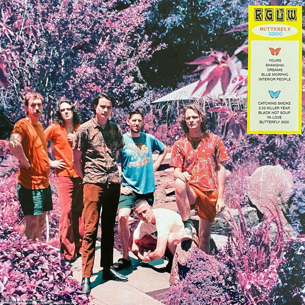 King Gizzard And The Lizard Wizard - Butterfly 3000 (RED VINYL LP) | USED - ROCK / USED *NEAR MINT*