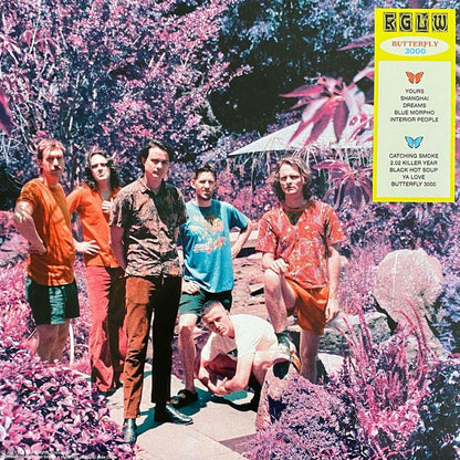King Gizzard And The Lizard Wizard - Butterfly 3000 (RED VINYL LP) | USED - ROCK / USED *NEAR MINT*