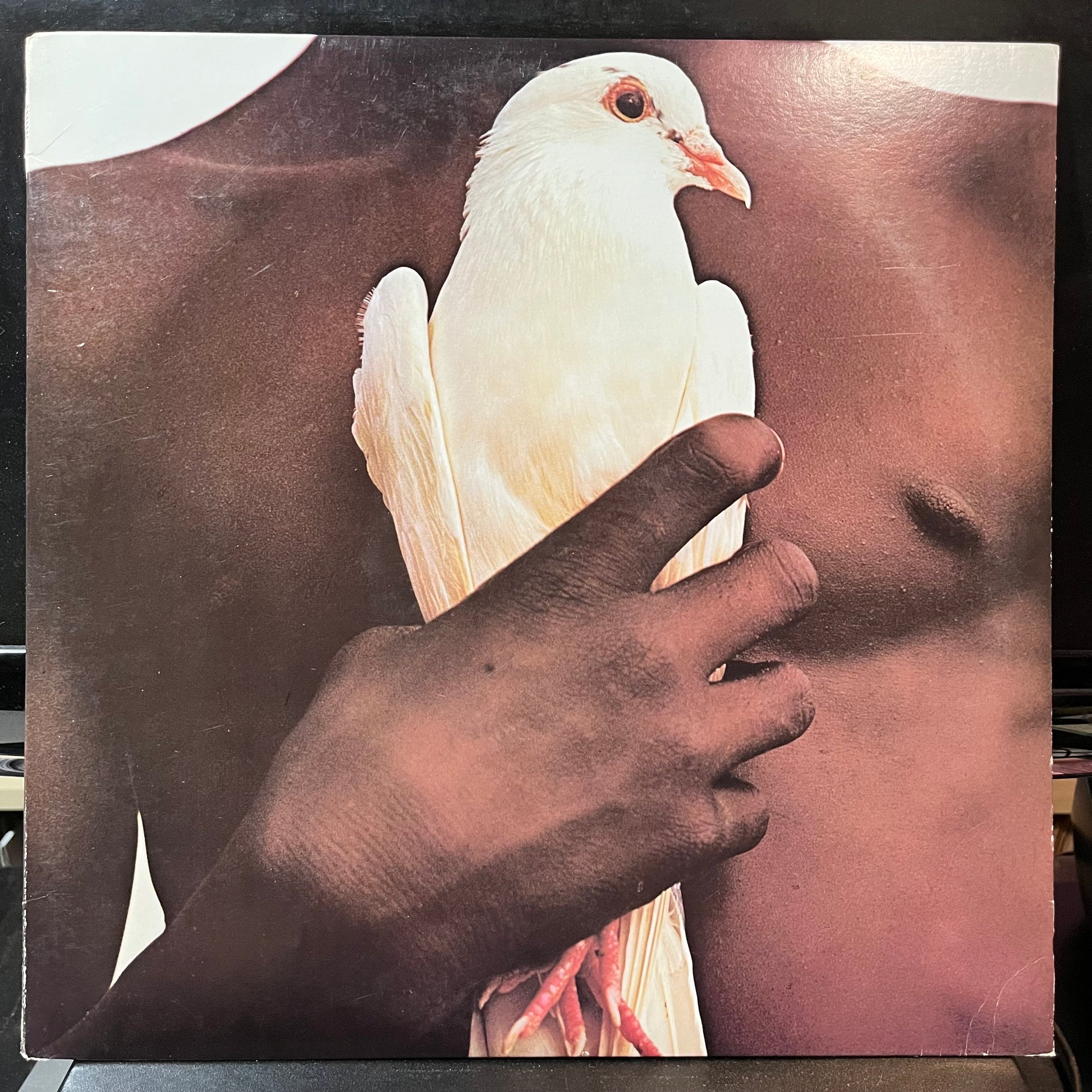 Santana - Santana's Greatest Hits (VINYL LP) | USED - ROCK / USED *NEAR MINT*
