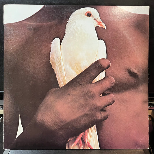 Santana - Santana's Greatest Hits (VINYL LP) | USED - ROCK / USED *NEAR MINT*