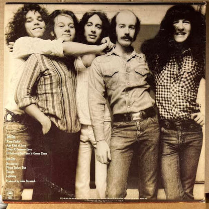 R.E.O. (VINYL) | Near Mint (NM or M-) Excellent+ (EX+) - ROCK / USED *NEAR MINT*