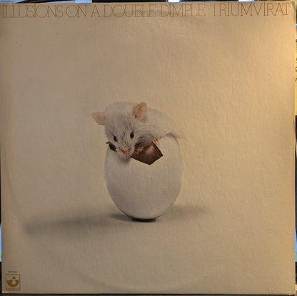 Illusions On A Double Dimple (VINYL) | Near Mint (NM) Excellent+ (EX+) - ROCK / USED *NEAR MINT*
