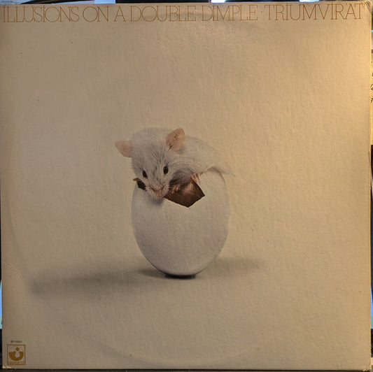 Illusions On A Double Dimple (VINYL) | Near Mint (NM) Excellent+ (EX+) - ROCK / USED *NEAR MINT*