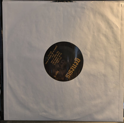 Revelation From The Beginning (VINYL) | Near Mint (NM) Near Mint (NM) - ROCK / USED *NEAR MINT*