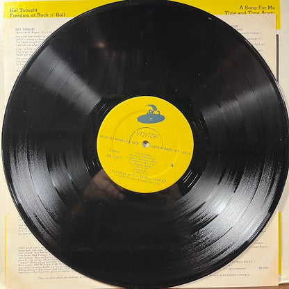 Visitor (VINYL) | Near Mint (NM or M-) Excellent+ (EX+) - ROCK / USED *NEAR MINT*