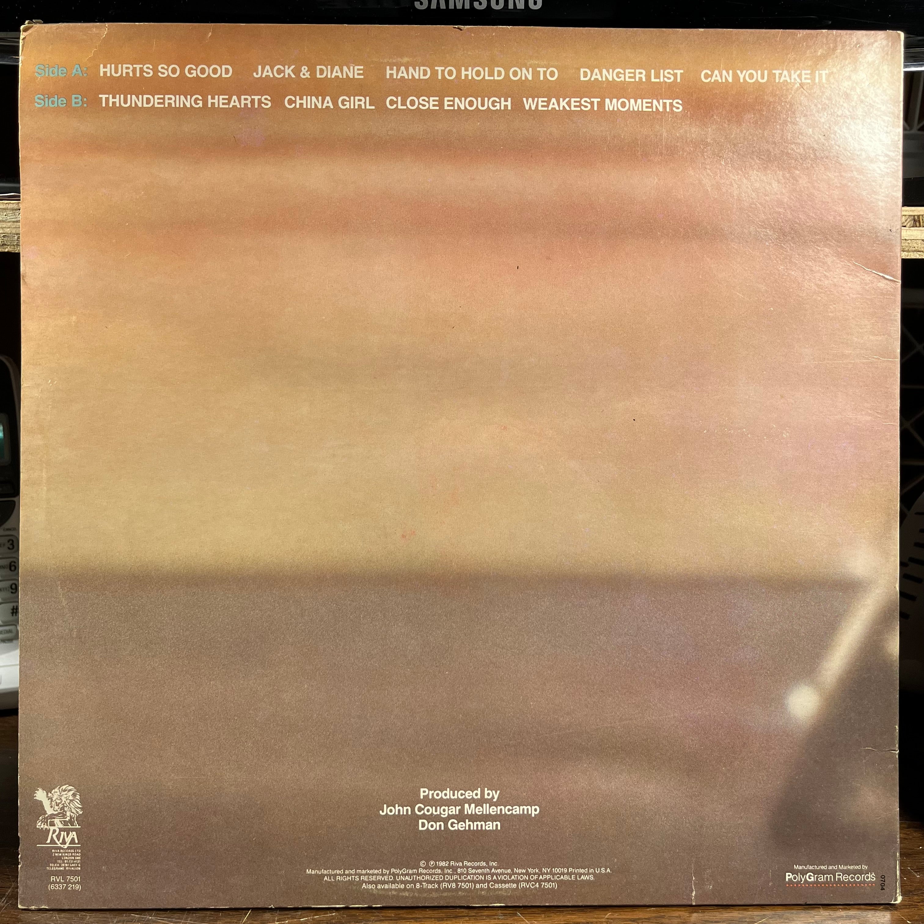 ケン American Fool (VINYL) | Near Mint (NM) Excellent+ (EX+)