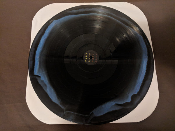King Gizzard And The Lizard Wizard - Polygondwanaland (BLUE/BLACK SMASH VINYL LP) | USED - ROCK / USED *NEAR MINT*