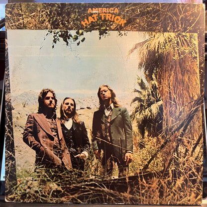 Hat Trick (VINYL) | Near Mint (NM) Excellent (EX) - ROCK / USED *NEAR MINT*