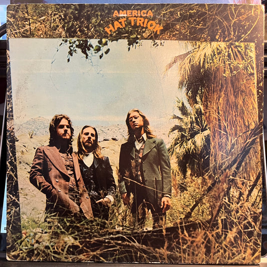 Hat Trick (VINYL) | Near Mint (NM) Excellent (EX) - ROCK / USED *NEAR MINT*