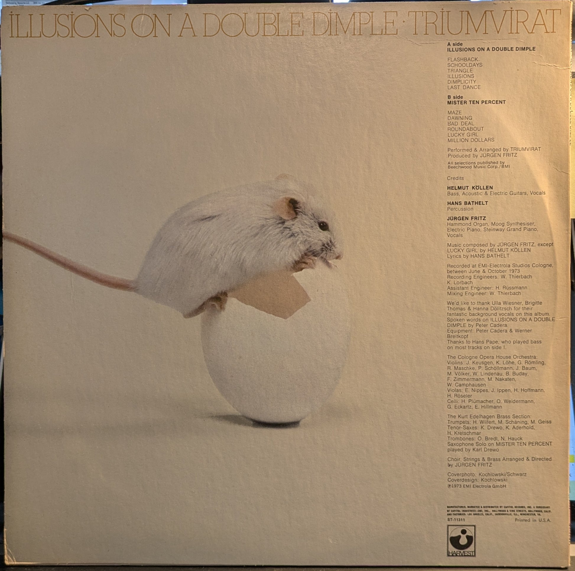 Illusions On A Double Dimple (VINYL) | Near Mint (NM) Excellent+ (EX+) - ROCK / USED *NEAR MINT*