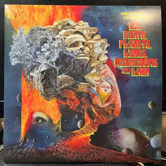 Ice, Death, Planets, Lungs, Mushrooms And Lava (2xVINYL) | Near Mint (NM) Very Good Plus Plus (VG++) - ROCK / USED *NEAR MINT*