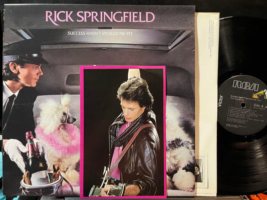 Success Hasn't Spoiled Me Yet (VINYL) | Near Mint (NM or M-) Near Mint (NM) - ROCK / USED *NEAR MINT*