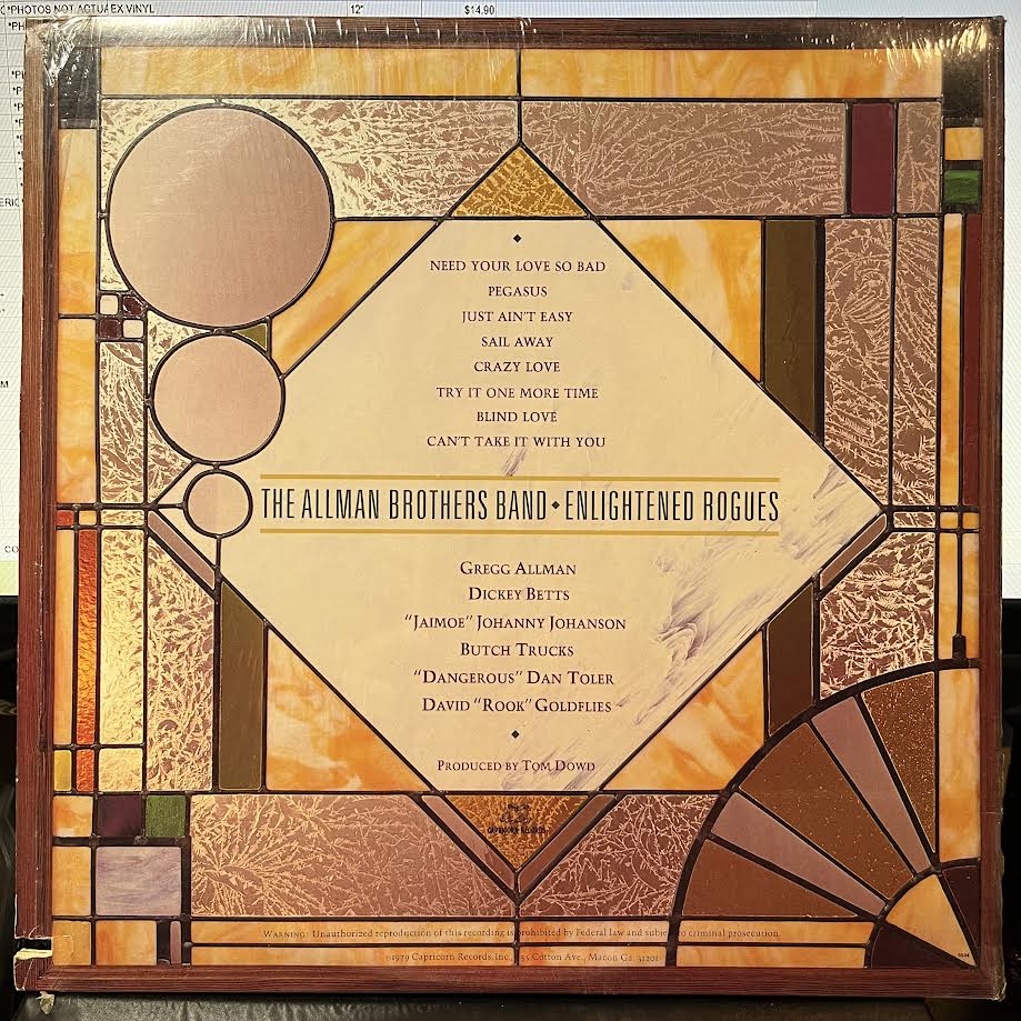 Enlightened Rogues (VINYL) | Near Mint (NM) Near Mint (NM) - ROCK / USED *NEAR MINT*