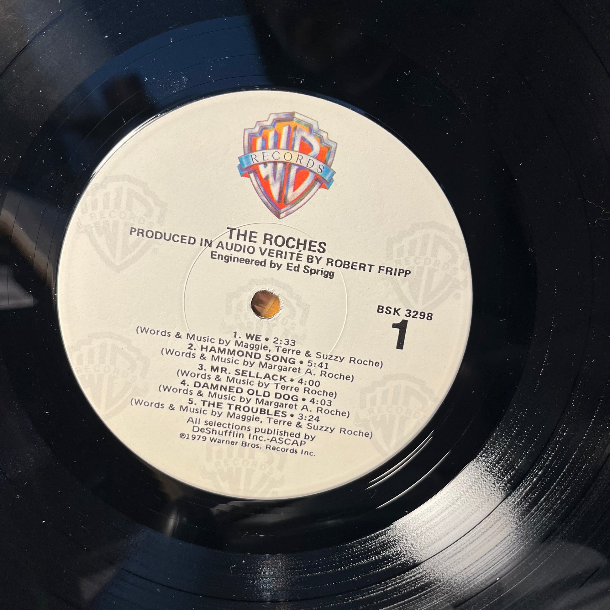 The Roches (VINYL) | Near Mint (NM) Near Mint (NM) - ROCK / USED *NEAR MINT*