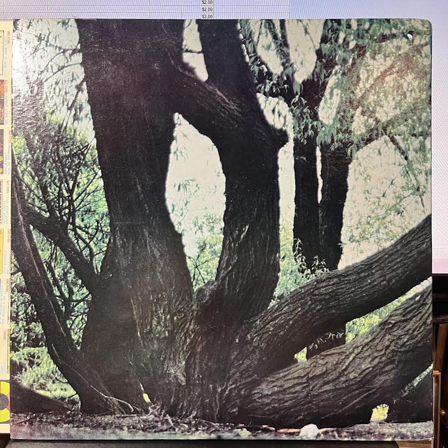 Fat Mattress (VINYL) | Near Mint (NM) Near Mint (NM) - ROCK / USED *NEAR MINT*