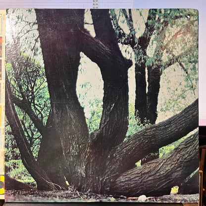 Fat Mattress (VINYL) | Near Mint (NM) Near Mint (NM) - ROCK / USED *NEAR MINT*