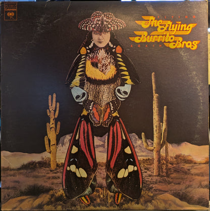 Flying Again (VINYL) | Near Mint (NM) Very Good Plus (VG+) - ROCK / USED *NEAR MINT*