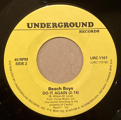 Wouldn't It Be Nice / Do It Again | Near Mint (NM or M-) Generic - ROCK / USED *NEAR MINT*