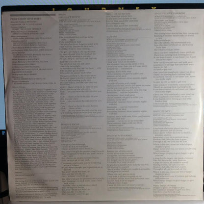 Raised On Radio (VINYL) | Near Mint (NM) Near Mint (NM) - ROCK / USED *NEAR MINT*