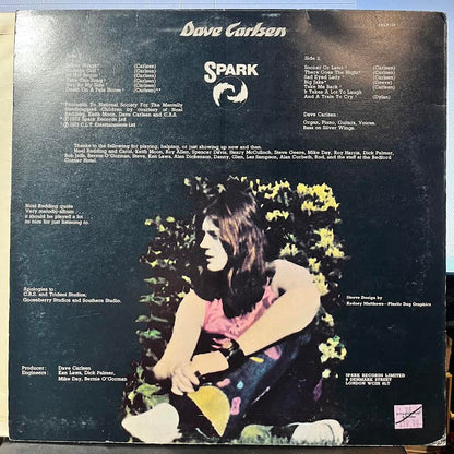 Pale Horse (VINYL) | Near Mint (NM) Near Mint- (NM-) - ROCK / USED *NEAR MINT*