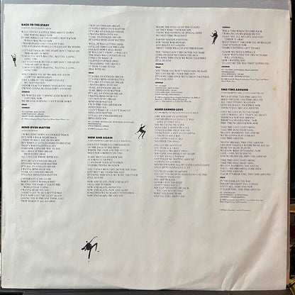 When All The Pieces Fit (VINYL) | Near Mint (NM) Near Mint (NM) - ROCK / USED *NEAR MINT*