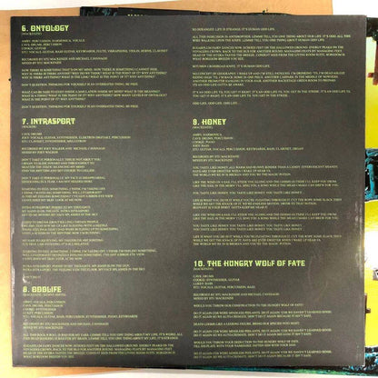 King Gizzard And The Lizard Wizard - K.G. (Explorations Into Microtonal Tuning Volume 2)(YELLOW VINYL LP) | USED - ROCK / USED *NEAR MINT*