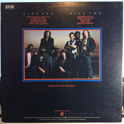 Best Of The Doobies Volume II (VINYL) | Near Mint (NM) Near Mint (NM) - ROCK / USED *NEAR MINT*
