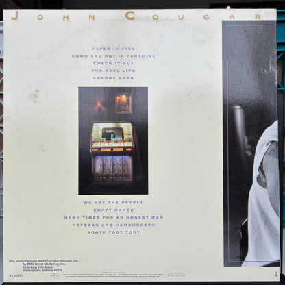 John Cougar Mellencamp - The Lonesome Jubilee (VINYL LP) | - ROCK / USED *NEAR MINT*
