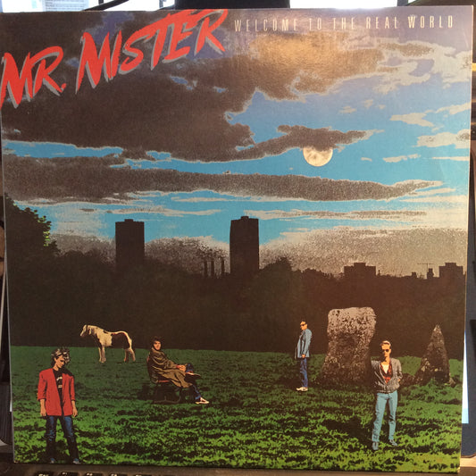 Welcome To The Real World (VINYL) | Near Mint (NM) Near Mint (NM) - ROCK / USED *NEAR MINT*