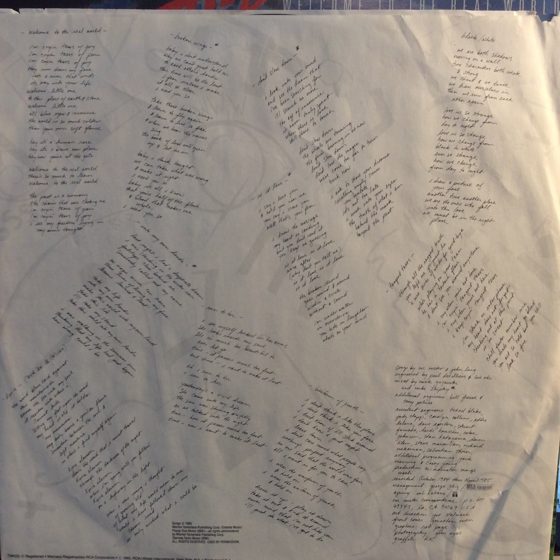 Welcome To The Real World (VINYL) | Near Mint (NM) Near Mint (NM) - ROCK / USED *NEAR MINT*