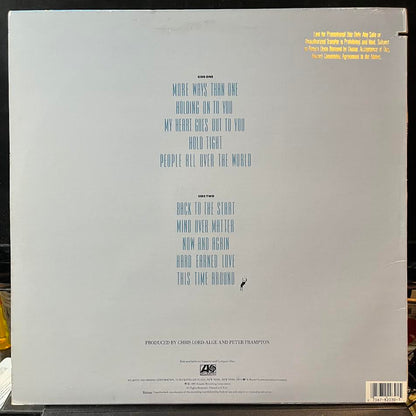 When All The Pieces Fit (VINYL) | Near Mint (NM) Near Mint (NM) - ROCK / USED *NEAR MINT*
