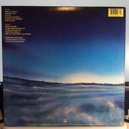 Raised On Radio (VINYL) | Near Mint (NM) Near Mint (NM) - ROCK / USED *NEAR MINT*