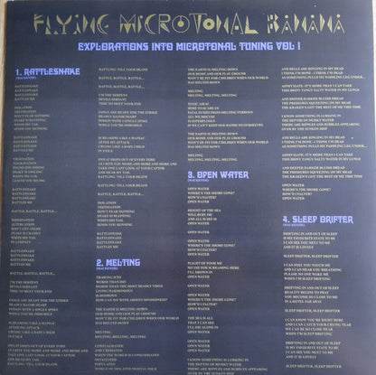 King Gizzard And The Lizard Wizard - Flying Microtonal Banana (Explorations Into Microtonal Tuning Volume 1)(YELLOW VINYL LP) | USED - ROCK / USED *NEAR MINT*