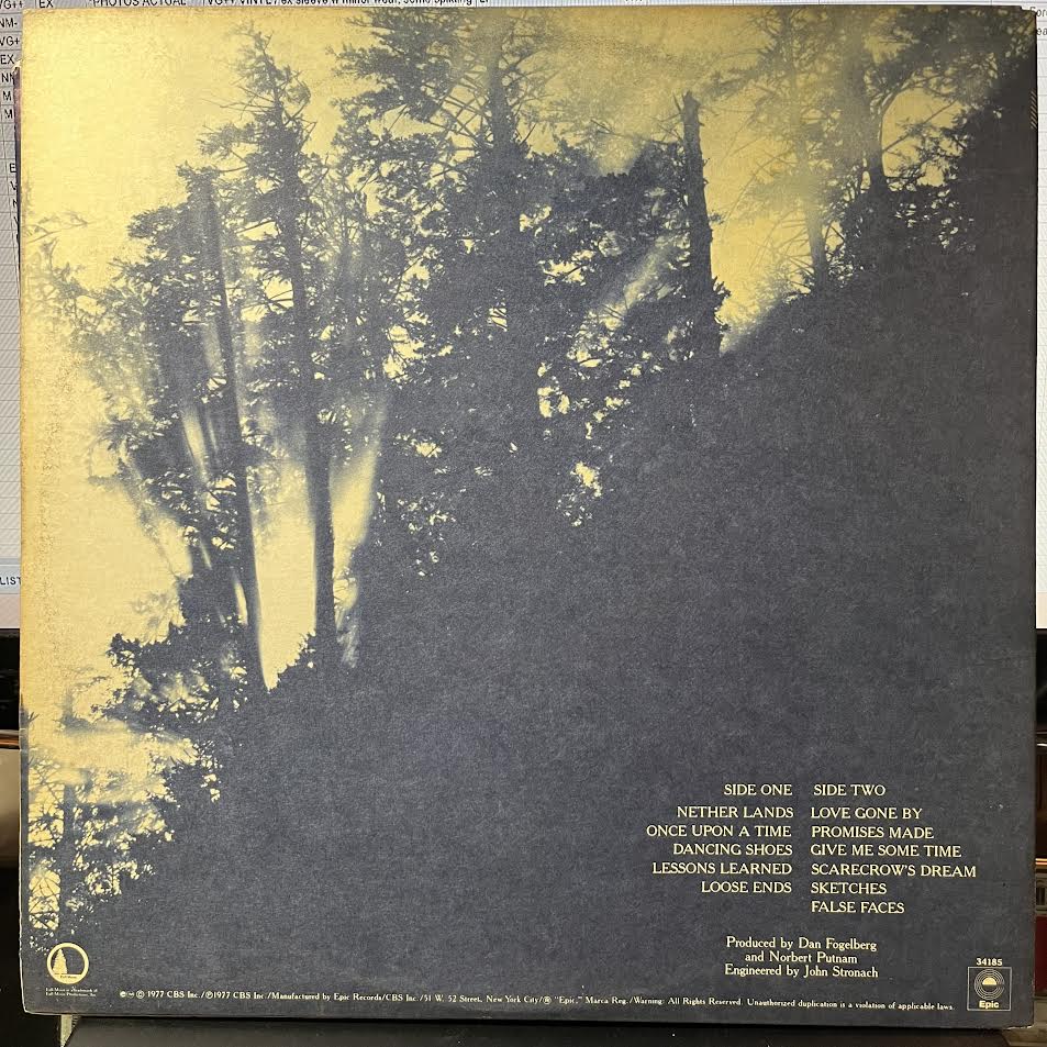 Nether Lands (VINYL) | Near Mint (NM or M-) Near Mint (NM or M-) - ROCK / USED *NEAR MINT*