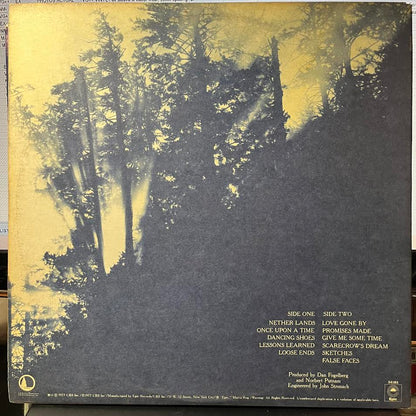 Nether Lands (VINYL) | Near Mint (NM or M-) Near Mint (NM or M-) - ROCK / USED *NEAR MINT*