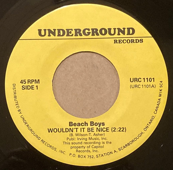 Wouldn't It Be Nice / Do It Again | Near Mint (NM or M-) Generic - ROCK / USED *NEAR MINT*