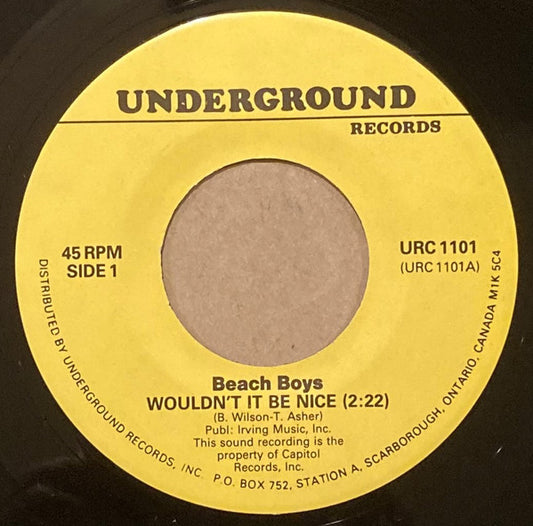 Wouldn't It Be Nice / Do It Again | Near Mint (NM or M-) Generic - ROCK / USED *NEAR MINT*