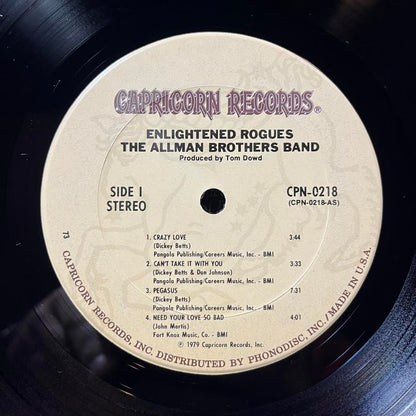Enlightened Rogues (VINYL) | Near Mint (NM) Near Mint (NM) - ROCK / USED *NEAR MINT*