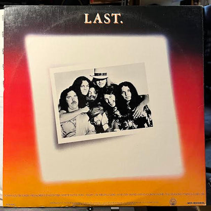 Skynyrd's First And... Last (VINYL) | Near Mint (NM) Near Mint (NM) - ROCK / USED *NEAR MINT*