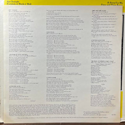 Visitor (VINYL) | Near Mint (NM or M-) Excellent+ (EX+) - ROCK / USED *NEAR MINT*